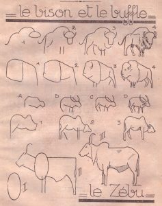 Apprendre a dessiner un bison_bufle. Cours de dessin en ligne