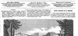 L’illustration journal universel n° 1129. Ascension du ballon le Géant, à Bruxelle 1864