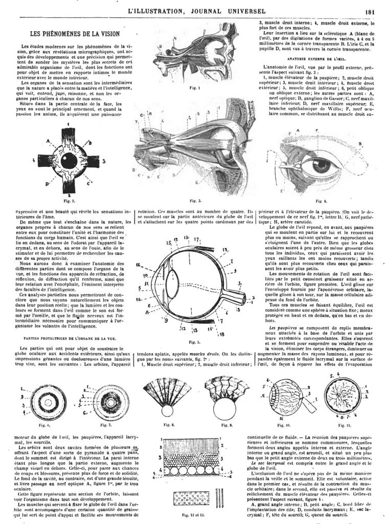 Les phénomènes de la vision (11 gravures). 1870