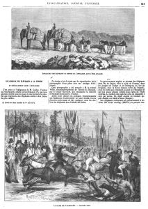 La fête de Vaugirard : course d’ânes. Gravure 1874