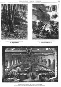 Récolte de la séve du dattier ou palmier à sucre dans une forêt du Bengale; l’illage de la maison Réveillon, fabricant de papier, au faubourg Saint-Antoine, en 1789; Industrie du papier: atelier des piles raffineuses et blanchisseuses.