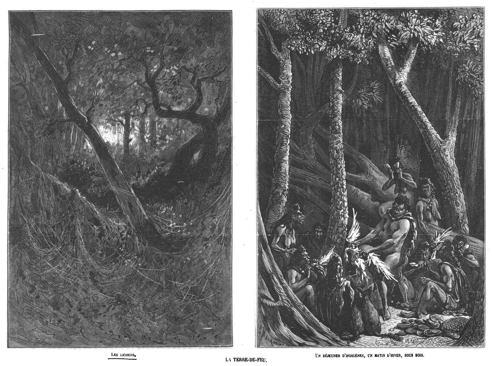 La Terre-de-Feu (2 gravures).