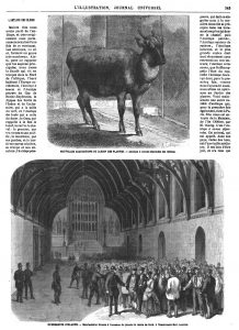 ÉVÉNEMENTS D'IRLANDE. - Manufestation feniane à l'occasion du procès du maire de Cork, à Westminster-Hall, Londres 1869